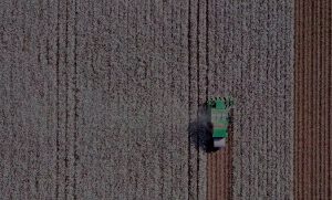 Row crops and a green tractor