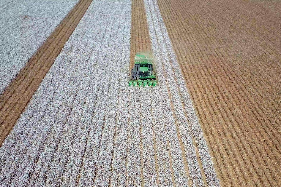 Row Crops and A green tractor